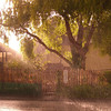 Rainstorm in the Sunshine