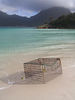Amazing scene.
Wineglass Bay