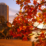 Hobart, Tasmania : Hobart, Tasmania is a beautiful city - these pictures were taken over the course of my 5 month stay there.