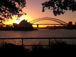 Mark Coffie Photography : 